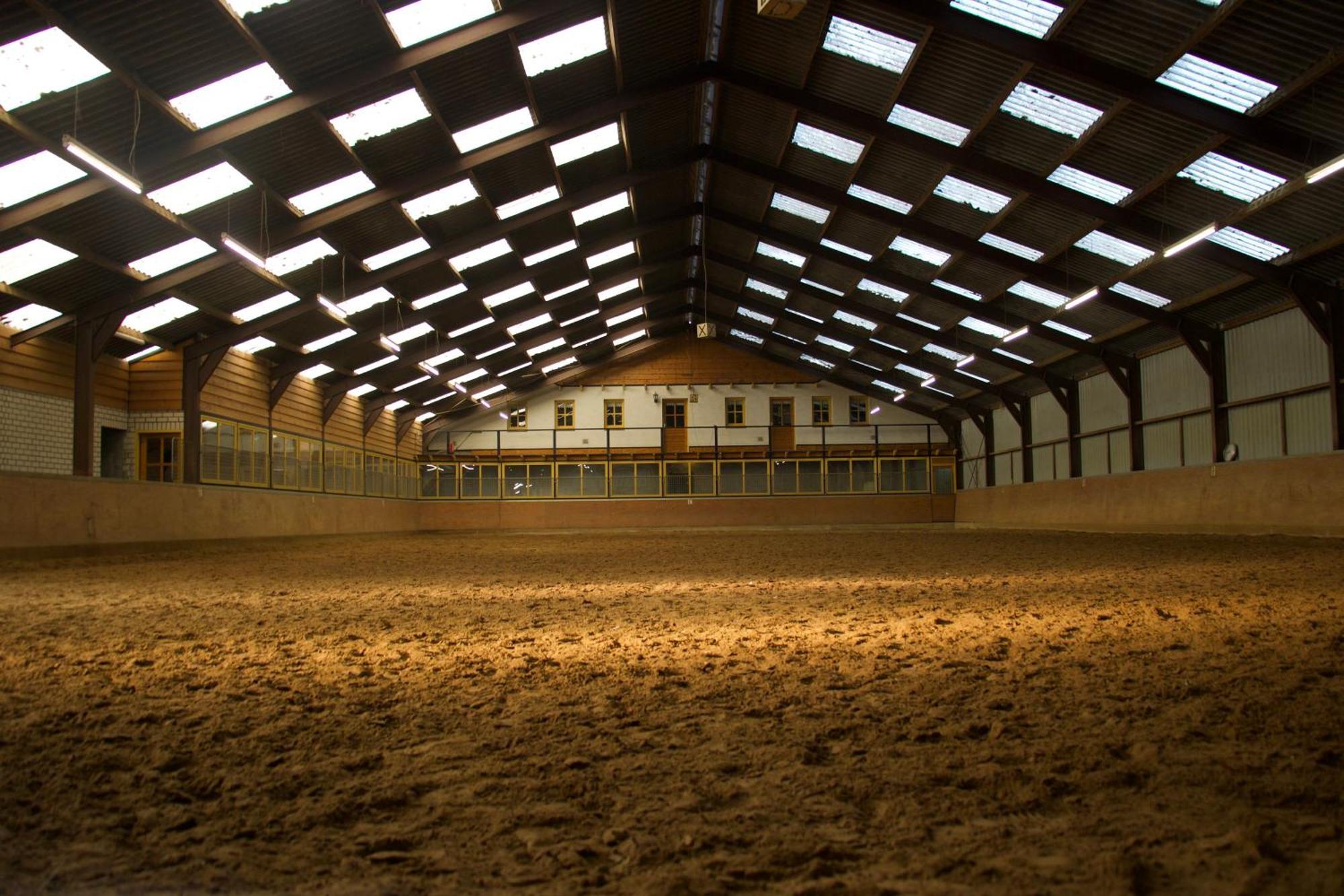 Magnolia Hoeve - Unieke Bestemming Voor Paardenliefhebbers En Bijzondere Overnachtingen In De Natuur Ledeacker Exterior foto